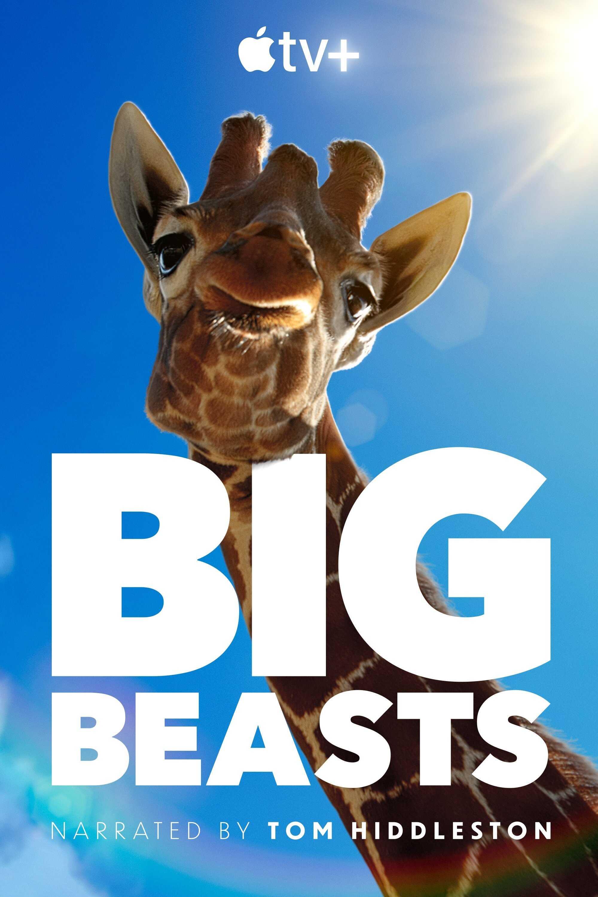 EN - Big Beasts (2023) 14