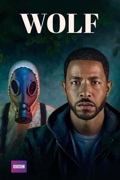 EN - Wolf (2023) 14