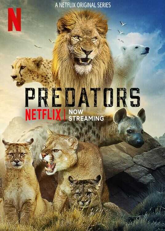 NF - Predators (2022) 14