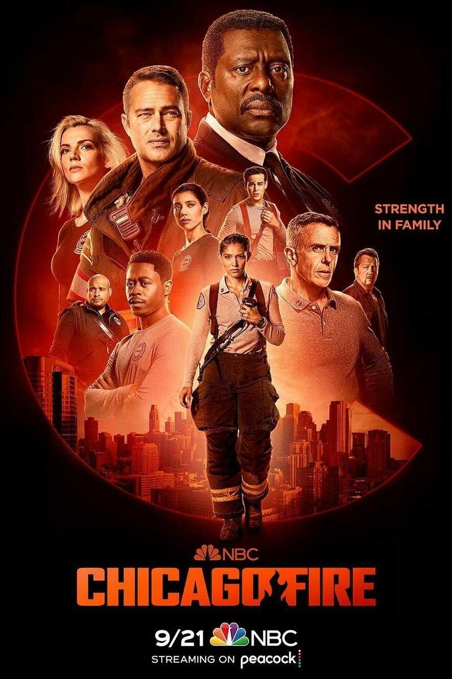 DE - Chicago Fire (2012) 14