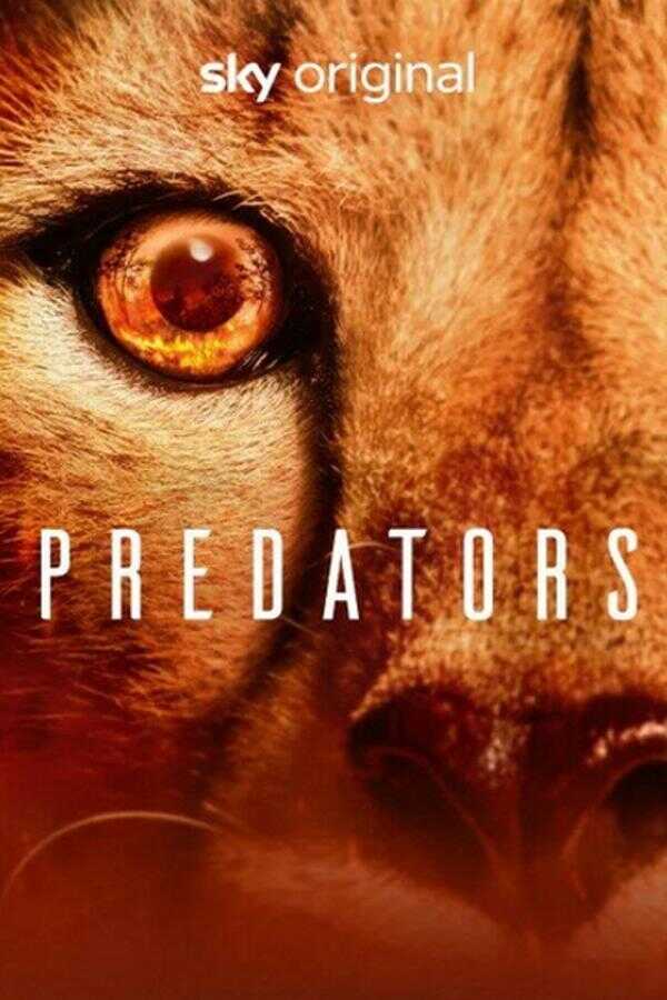 EN - Predators (2022) 14
