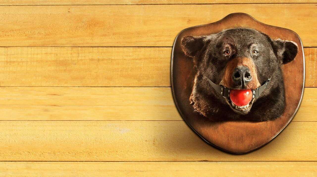 EN - The Guest Book (2017) 0