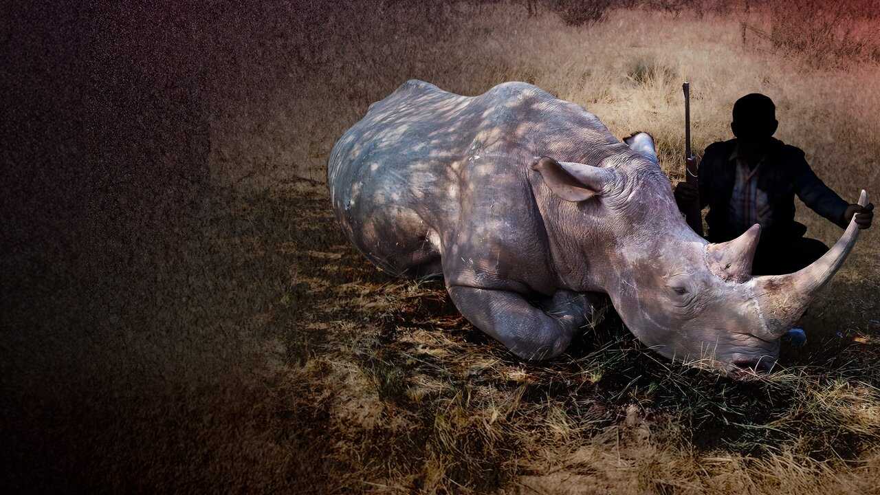 Krwawe trofeum (2025) 0