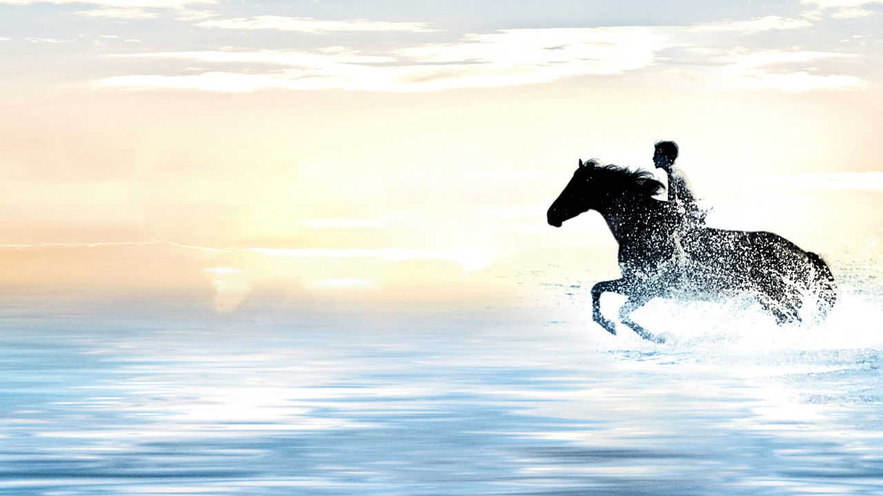 The Black Stallion 0