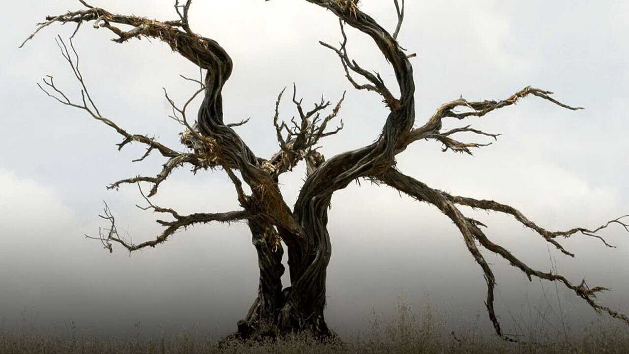 DE - Carnivàle (2003) 3