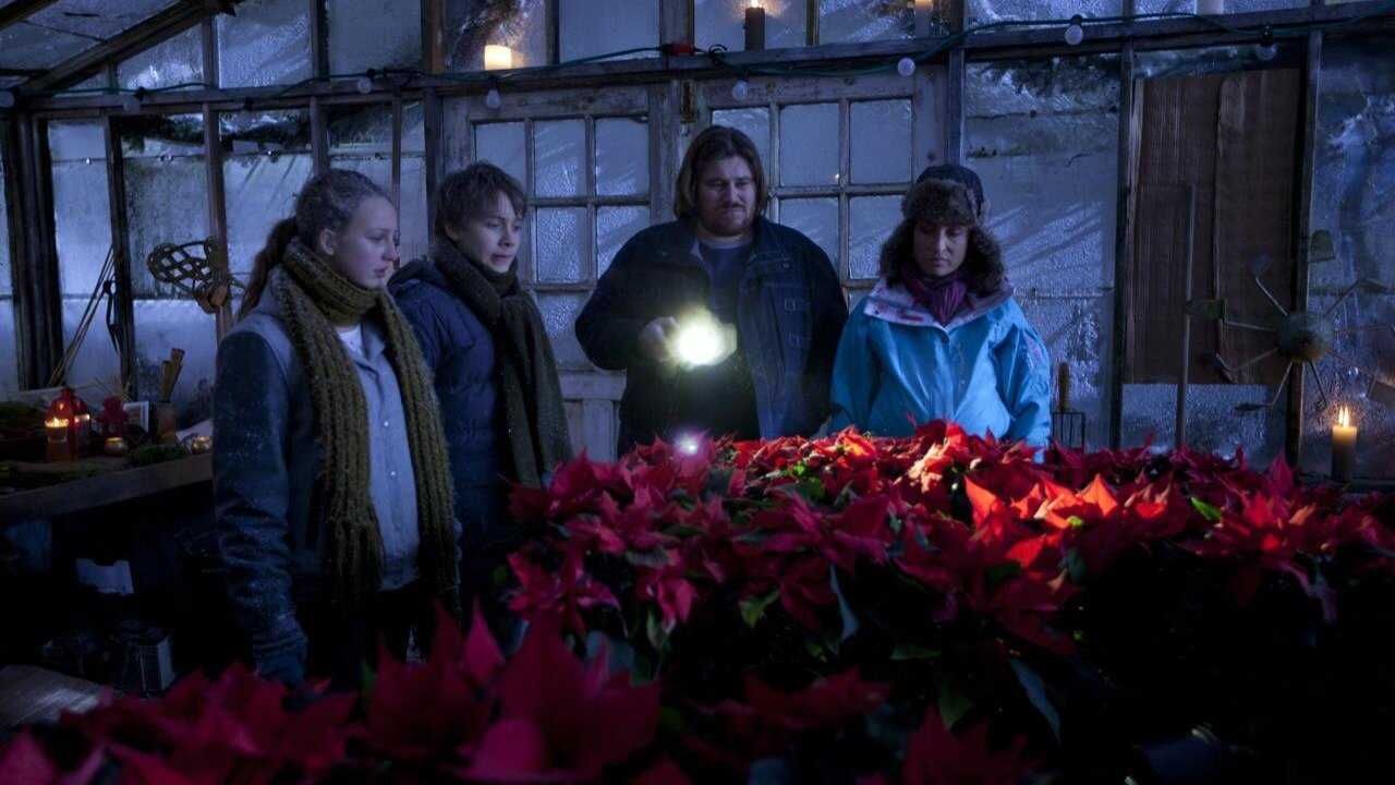 DK - Julestjerner (2012) (DK) 0