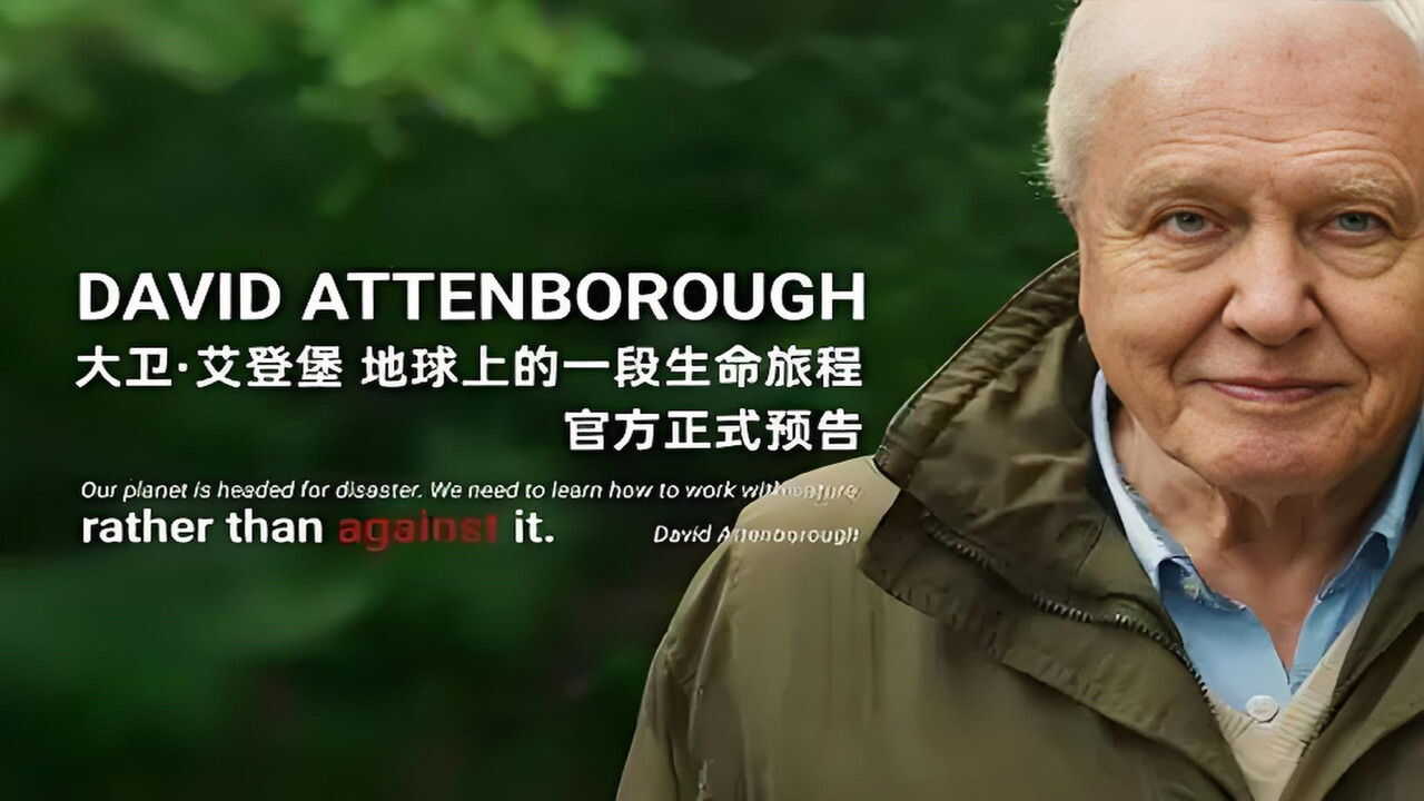 La vida en la Tierra con David Attenborough (2023) 0
