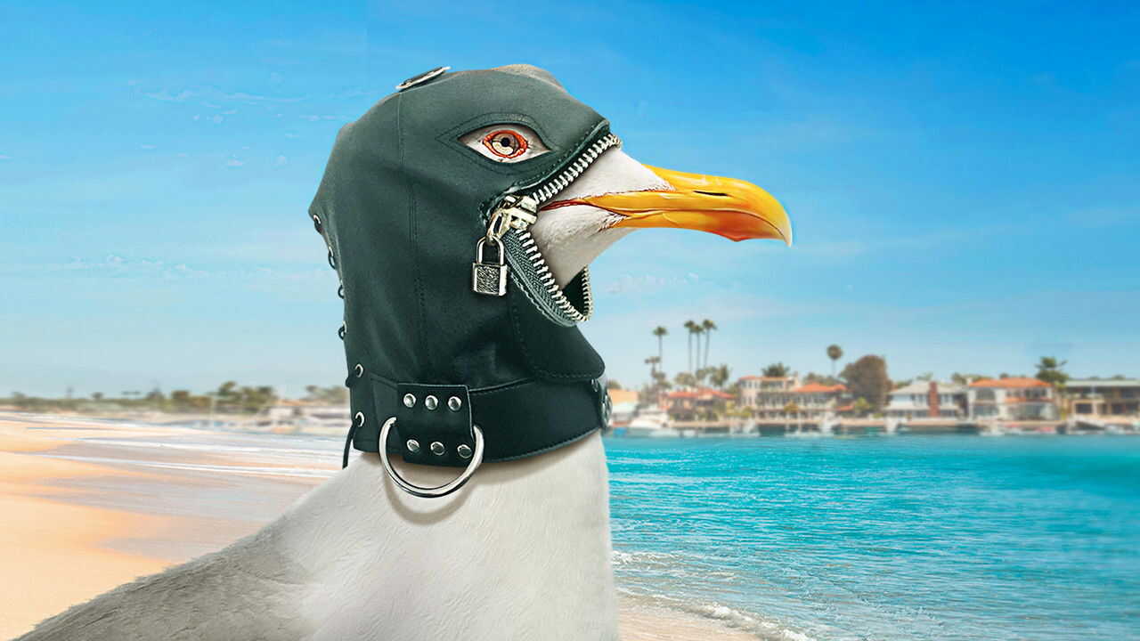 EN - The Guest Book (2017) 1