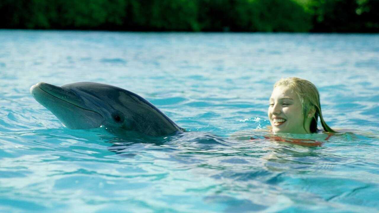 Dolphin Island (2021) 0