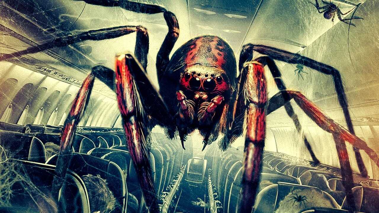 Spiders on a Plane (2024) 0