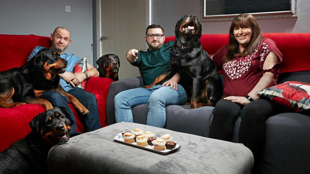 EN - Gogglebox (2013) (GB) 2
