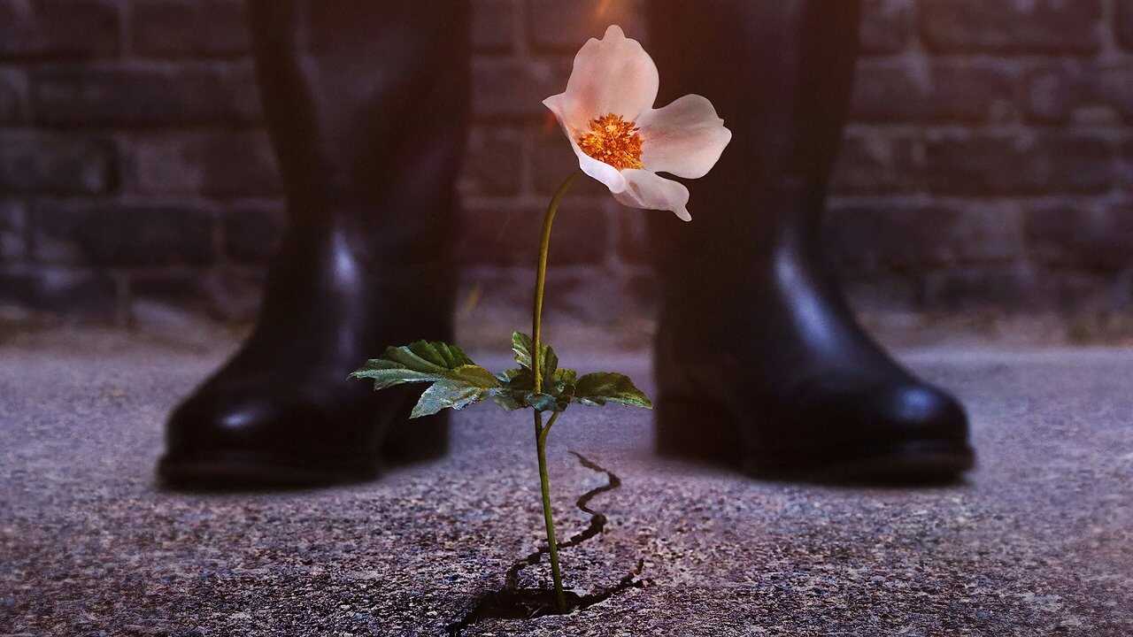 4K-DE - The Man in the High Castle (2015) (US) 0