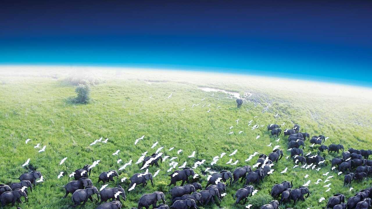 NL - PLANET EARTH (2006) 3