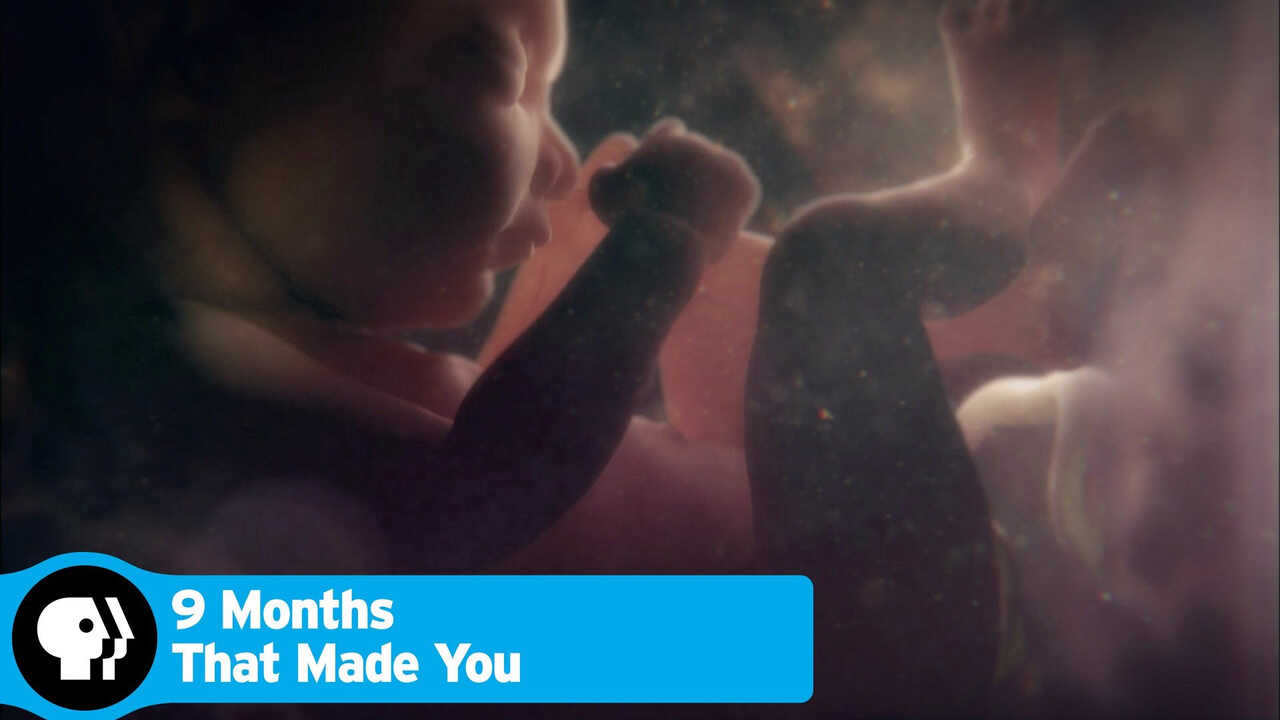 NF - 9 Months That Made You 1