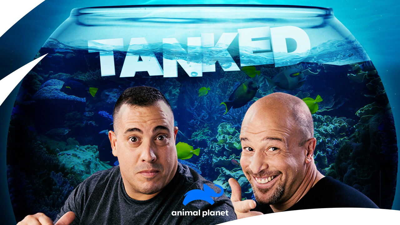 EN - Tanked (2011) (US) 1