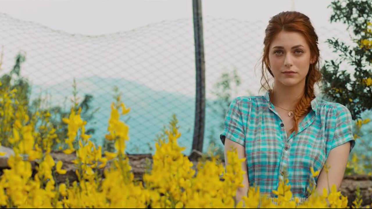 Un paese quasi perfetto (2016) 0