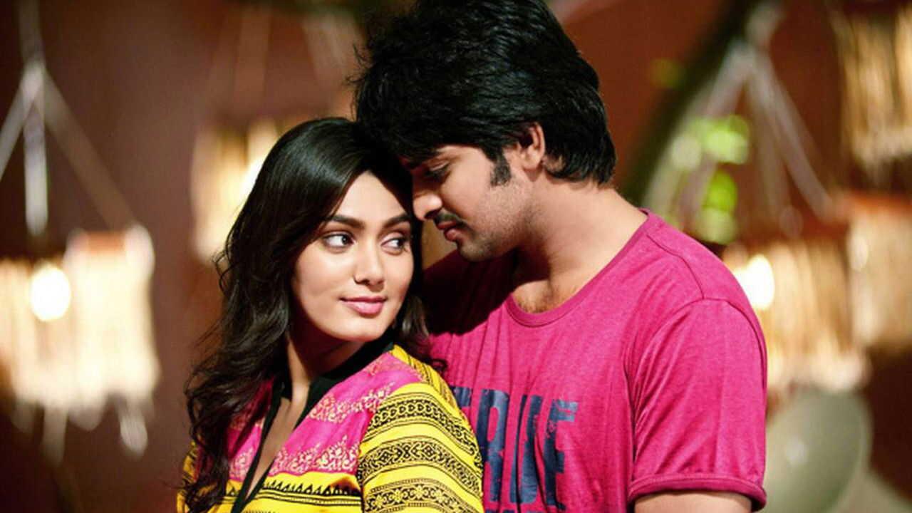 Dikkulu Choodaku Ramayya (2014) 0