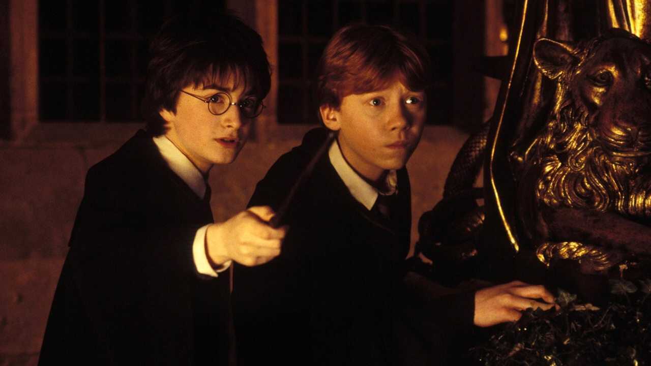 Harry Potter and the Chamber of Secrets (2002) 0
