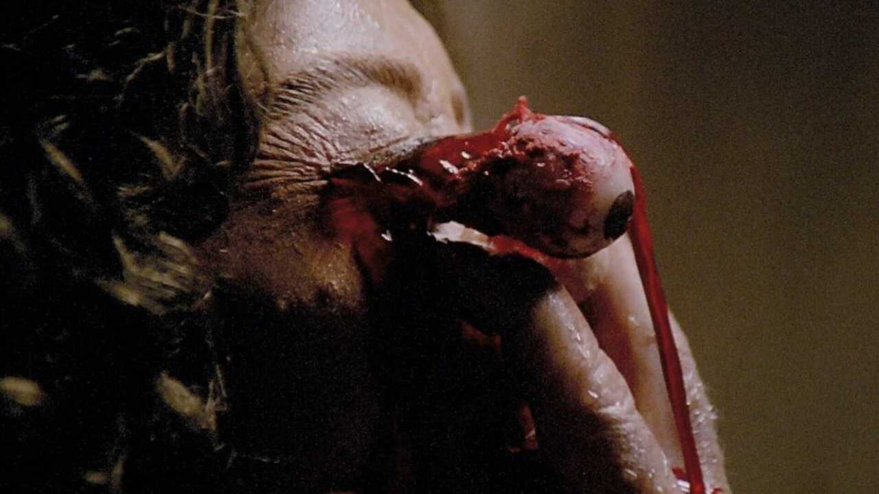 Die Geisterstadt der Zombies (1981) 0