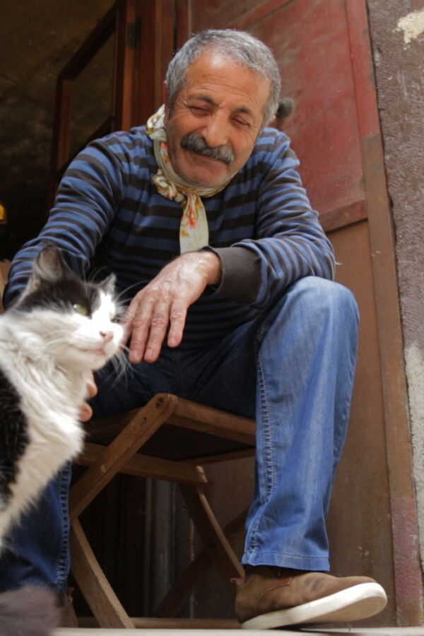 Kedi: Von Katzen und Menschen (2017) 0